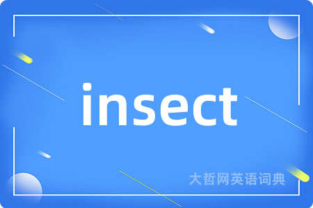 insect