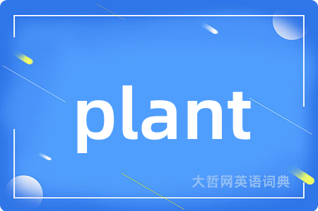 plant