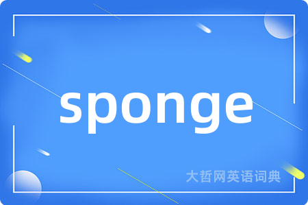 sponge